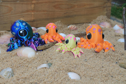 Tiny Octopus Cinderwing3D – Charming Mini Octopus