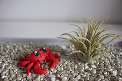 Crab Cinderwing3D – Verspielte & Charmante Krabbenfigur