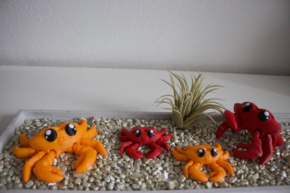 Crab Cinderwing3D – Verspielte & Charmante Krabbenfigur