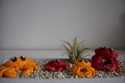 Crab Cinderwing3D – Verspielte & Charmante Krabbenfigur