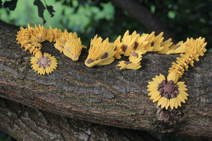 Sunflower Dragon – Die Magie der Sonnenblume Cinderwing3D