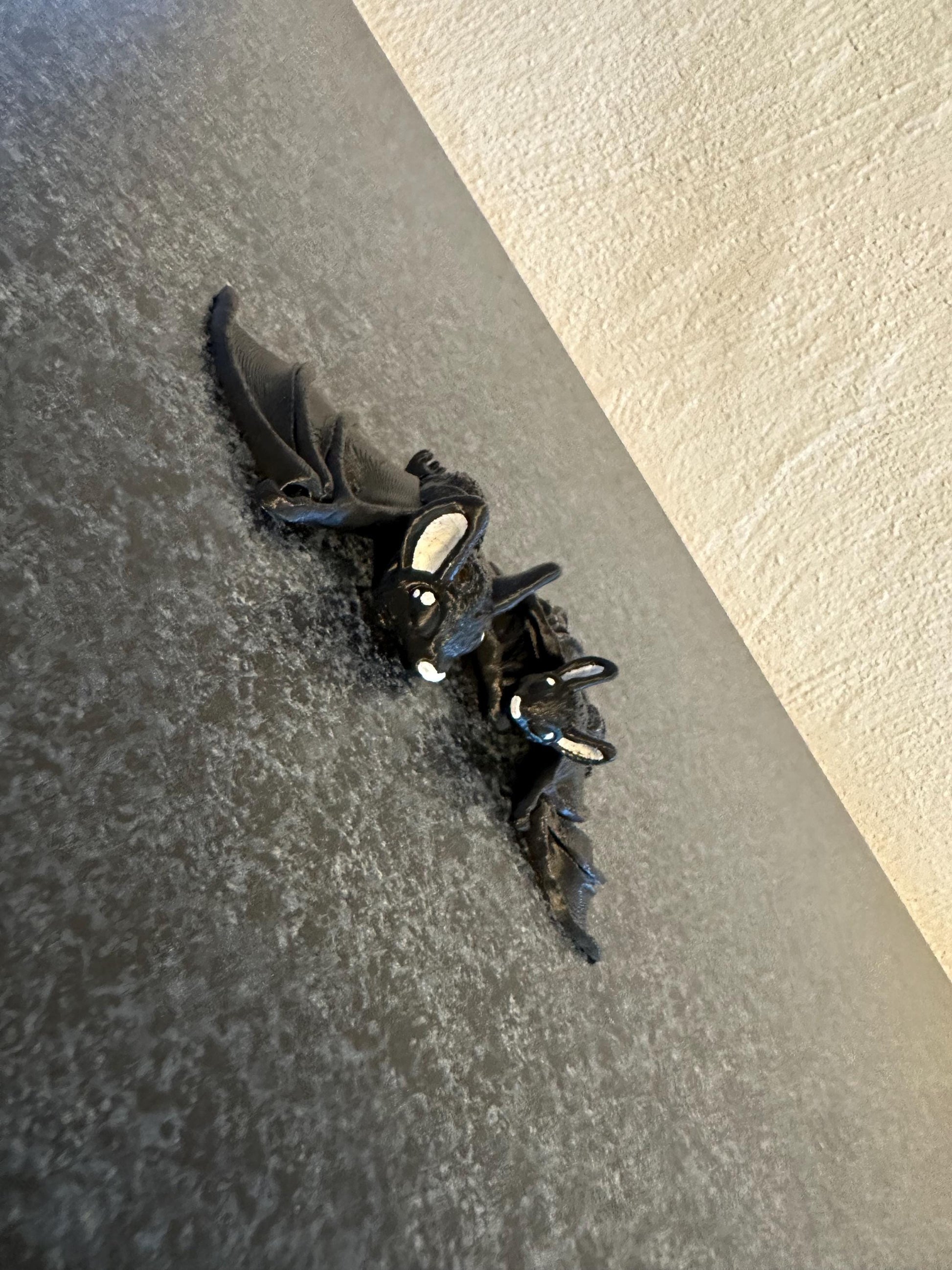 Enchanting Tiny Bat – Tiny Bat Cinderwing3D