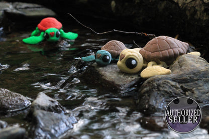 Sea Turtle Cinderwing3D – Fascinating Sea Turtle