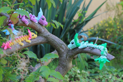 Baby Axolotl Dragon Cinderwing3D – Charming Axolotl Dragon