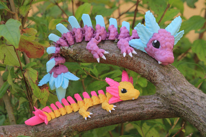 Baby Axolotl Dragon Cinderwing3D – Charming Axolotl Dragon