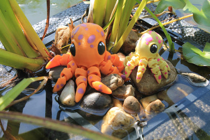 Tiny Octopus Cinderwing3D – Charming Mini Octopus