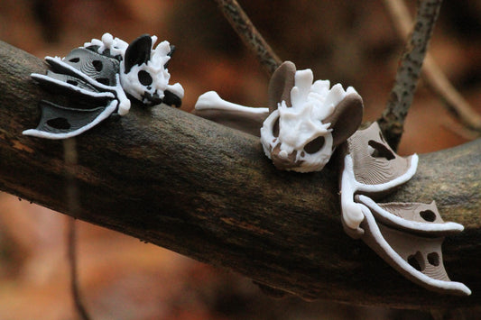 Schattenflügel-Fledermaus – Mystische Eleganz der Nacht Cinderwing3D