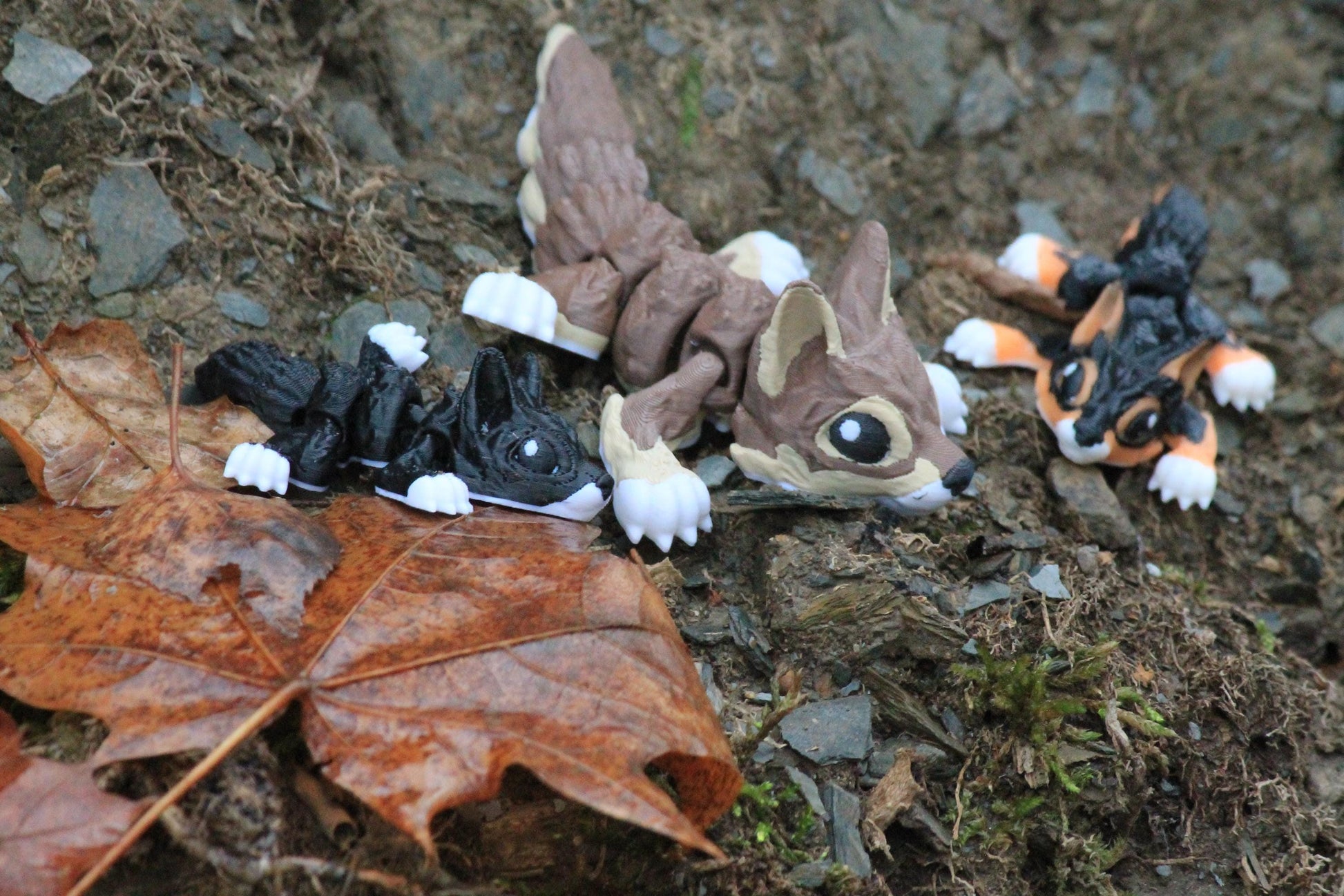 Tiny Wolf – Der Zauber des Waldes in Deinem Zuhause Cinderwing3D