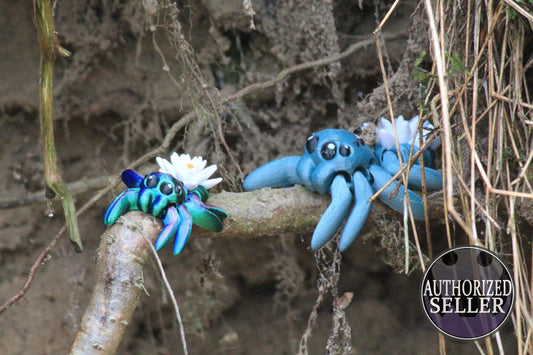 Water Lily Spider – Zauberhafte Eleganz der Natur Water Lily Tiny Spider Cinderwing3D