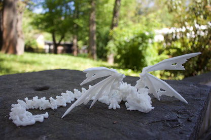 Baby Schattenknochen-Drache – Ein Relikt aus der Dunkelheit Cinderwing3D