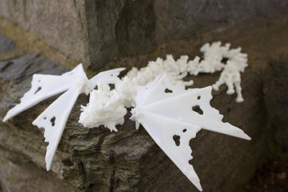 Baby Schattenknochen-Drache – Ein Relikt aus der Dunkelheit Cinderwing3D