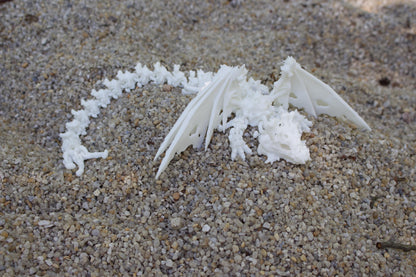 Baby Schattenknochen-Drache – Ein Relikt aus der Dunkelheit Cinderwing3D