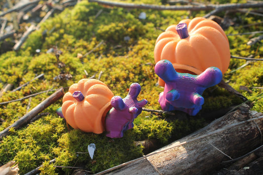 Schnecken-Kürbis "Snail Pumpkin" – Herbstzauber in 3D Cinderwing3D