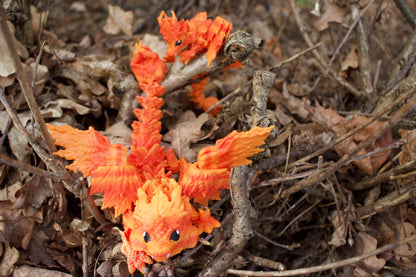 Baby Herbstdrache – Magie des Wandels Cinderwing3D