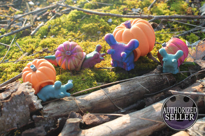 Schnecken-Kürbis "Snail Pumpkin" – Herbstzauber in 3D Cinderwing3D