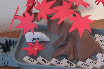Bonsai-Kalender 365 – Japanischer Ahorn für deinen Schreibtisch ForgeCore