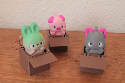 Box Klicker – Das süße Fidget-Gadget für unterwegs