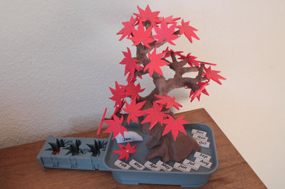 Bonsai-Kalender 365 – Japanischer Ahorn für deinen Schreibtisch ForgeCore