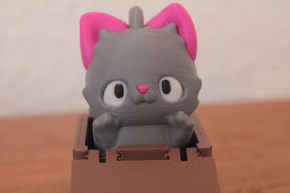 Box Klicker – Das süße Fidget-Gadget für unterwegs