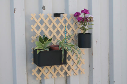 Trellis Botaniksystem | Grüne Ordnung an der Wand ForgeCore