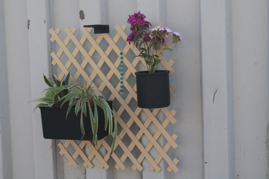 Trellis Botaniksystem | Grüne Ordnung an der Wand ForgeCore